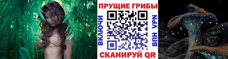 Псилоцибиновые грибы мухоморы  Купить  Осташков 